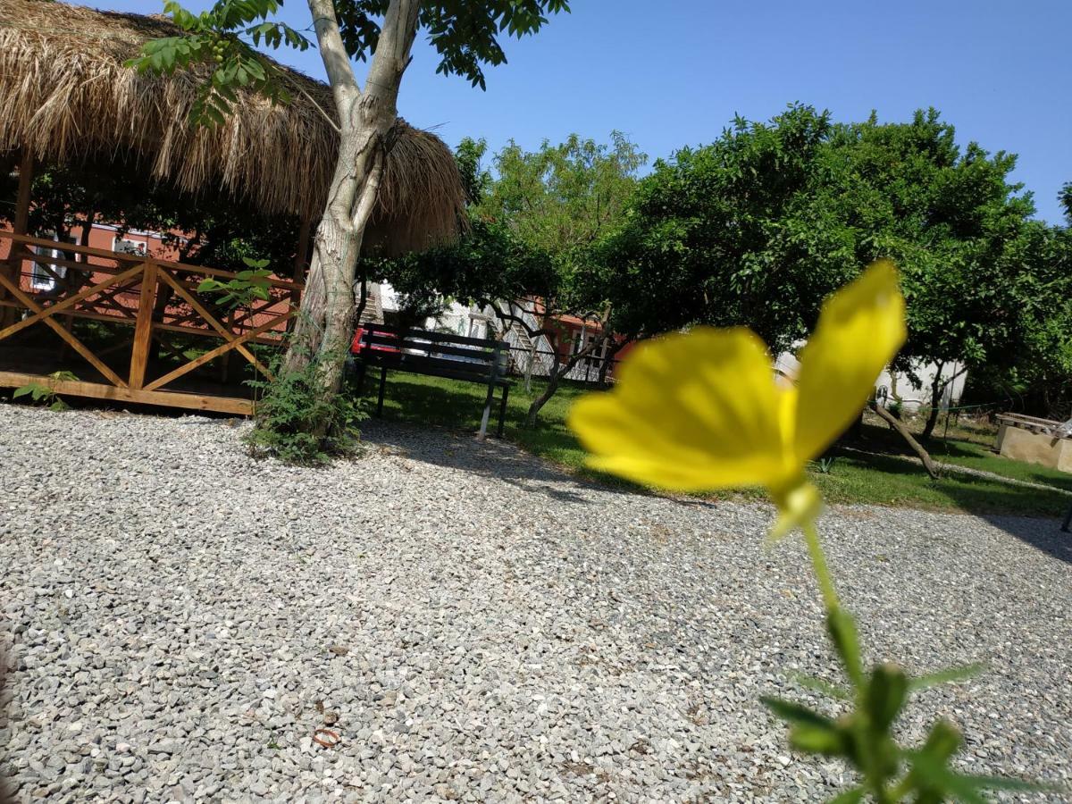 Kolkhi Guest House Gonio Exteriér fotografie